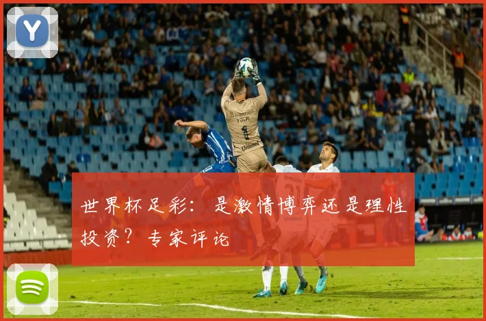 世界杯足彩：是激情博弈还是理性投资？专家评论