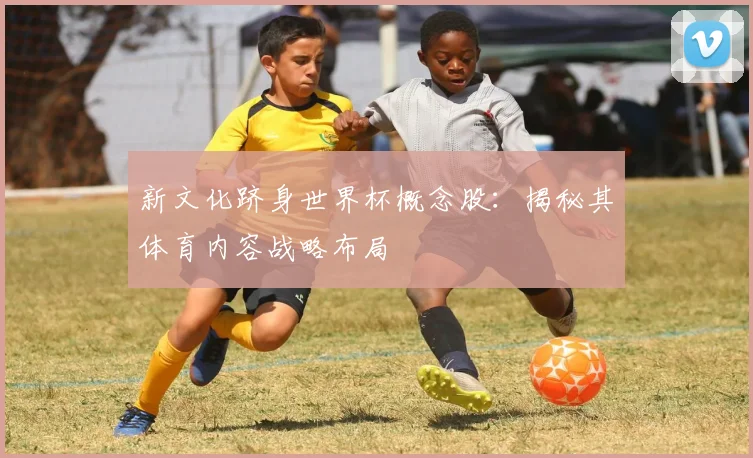 新文化跻身世界杯概念股：揭秘其体育内容战略布局