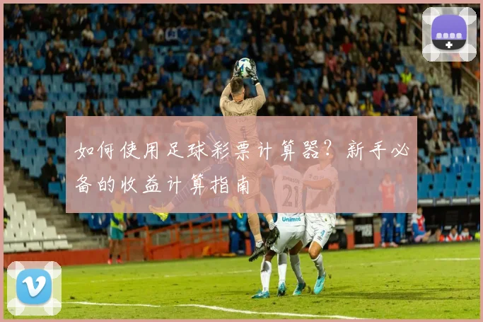 如何使用足球彩票计算器？新手必备的收益计算指南