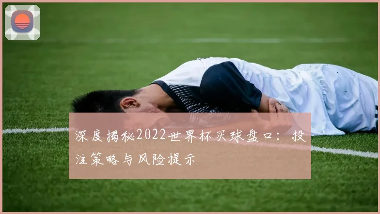 深度揭秘2022世界杯买球盘口：投注策略与风险提示