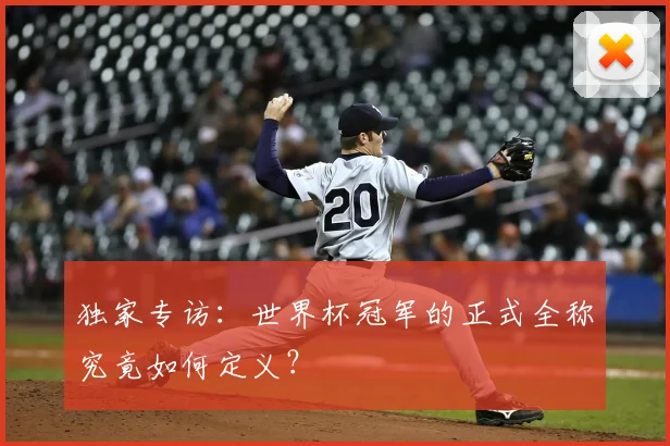 独家专访：世界杯冠军的正式全称究竟如何定义？