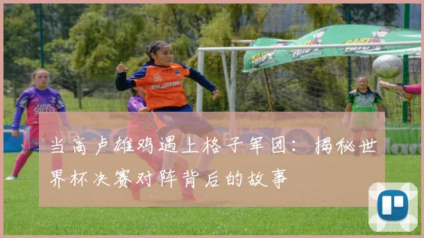 当高卢雄鸡遇上格子军团:揭秘世界杯决赛对阵背后的故事