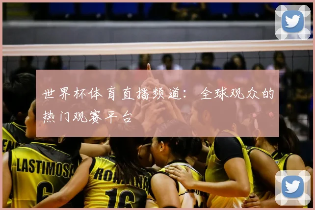 世界杯体育直播频道：全球观众的热门观赛平台