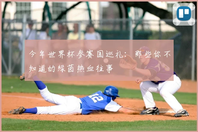 今年世界杯参赛国巡礼：那些你不知道的绿茵热血往事