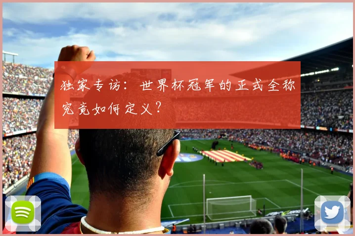 独家专访：世界杯冠军的正式全称究竟如何定义？
