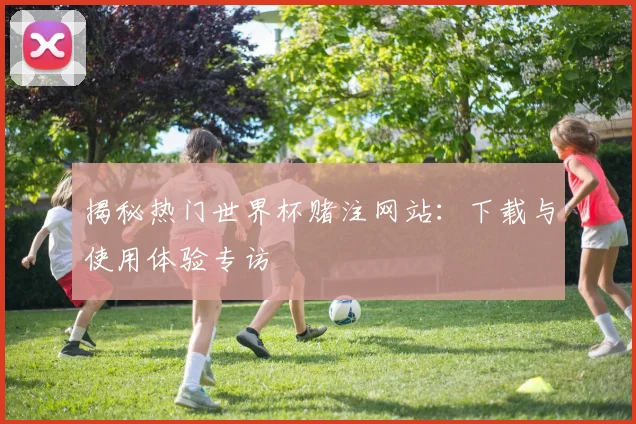 揭秘热门世界杯赌注网站：下载与使用体验专访