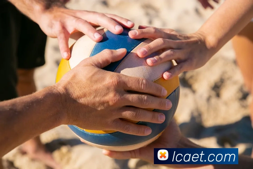 米兰官方网站入口平台生态图