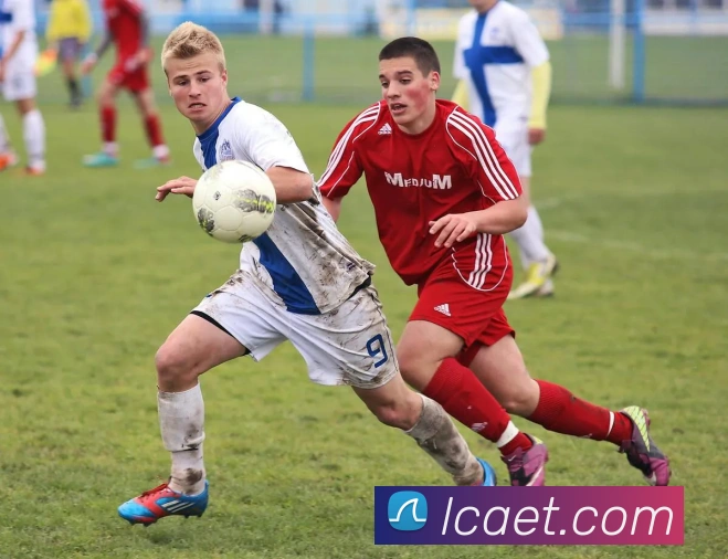 米兰官方网站入口APP 封面图